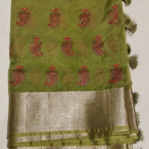 Fancy Saree C